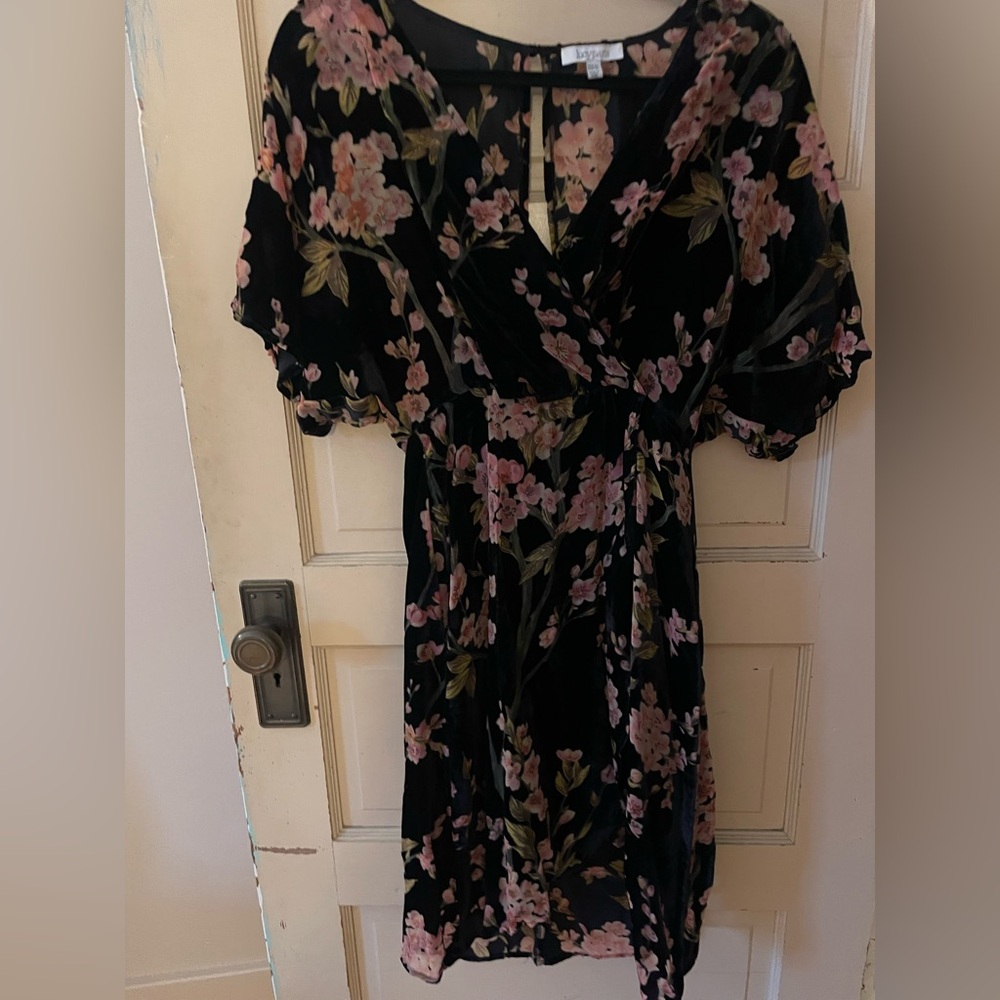 Velvet Burnout Floral Black Dress